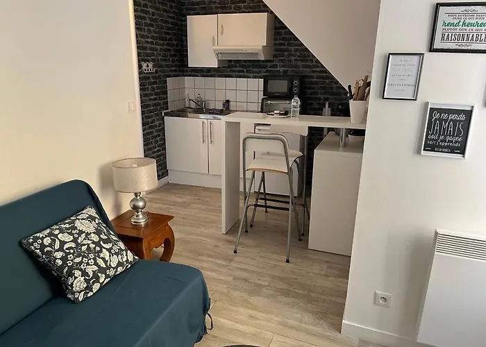 La Ruelle Des Bords De Loire - Classe 2** דירה *